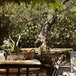 Almeira 4000sq Meters Estate, For Unparalleled Seclusion, By Thinkvilla זקינטוס טאון