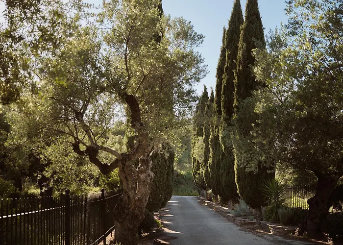 Willa Almeira 4000sq Meters Estate, For Unparalleled Seclusion, By Thinkvilla